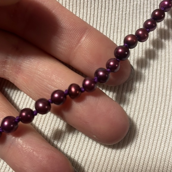 Magenta sand dollar set - Picture 7 of 8